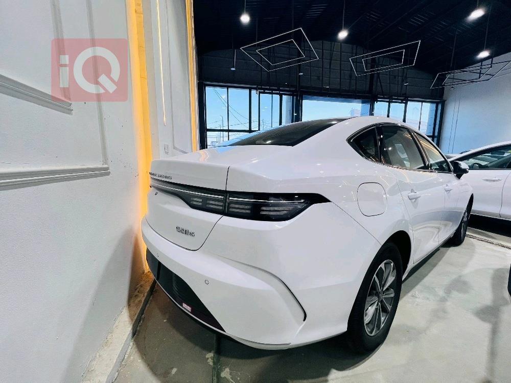 بي واي دي ديستروير 05